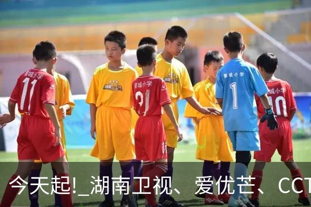 今天起! 湖南卫视、爱优芒、CCTV-8将播3部大剧, 阵容不错, 追哪部