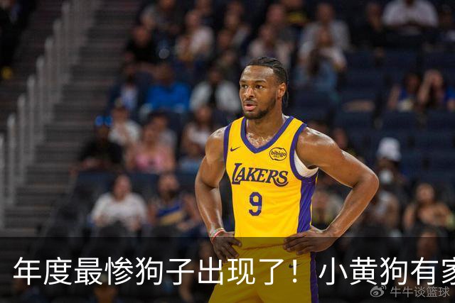 年度最惨狗子出现了！小黄狗有家不能回，回了还得给两位冤种让位置打架……狗子：我太难了！